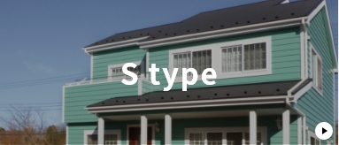 S TYPE