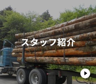 スタッフ紹介