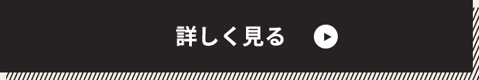 詳細を見る